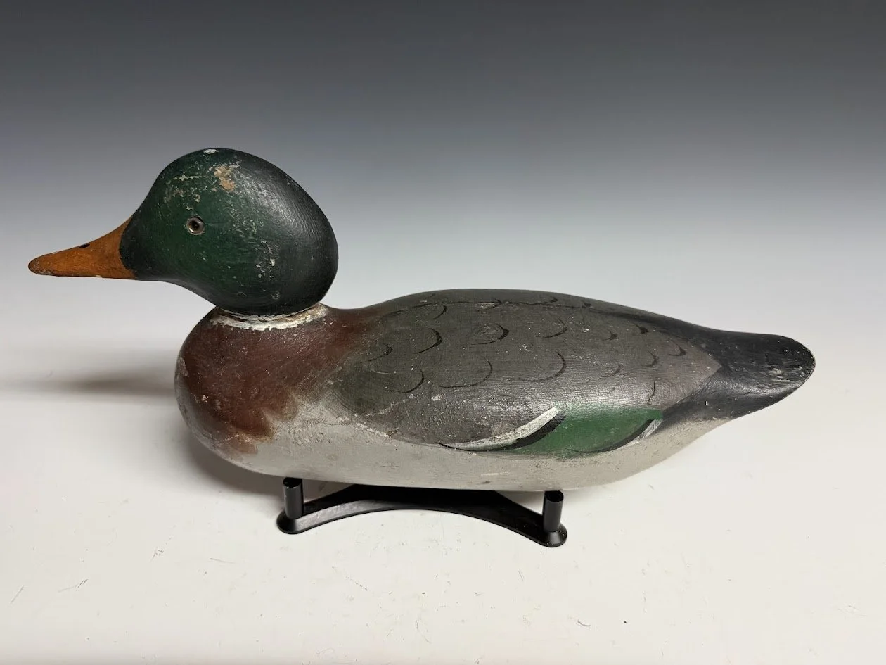 5_15_26_MallardDrake2.jpg
