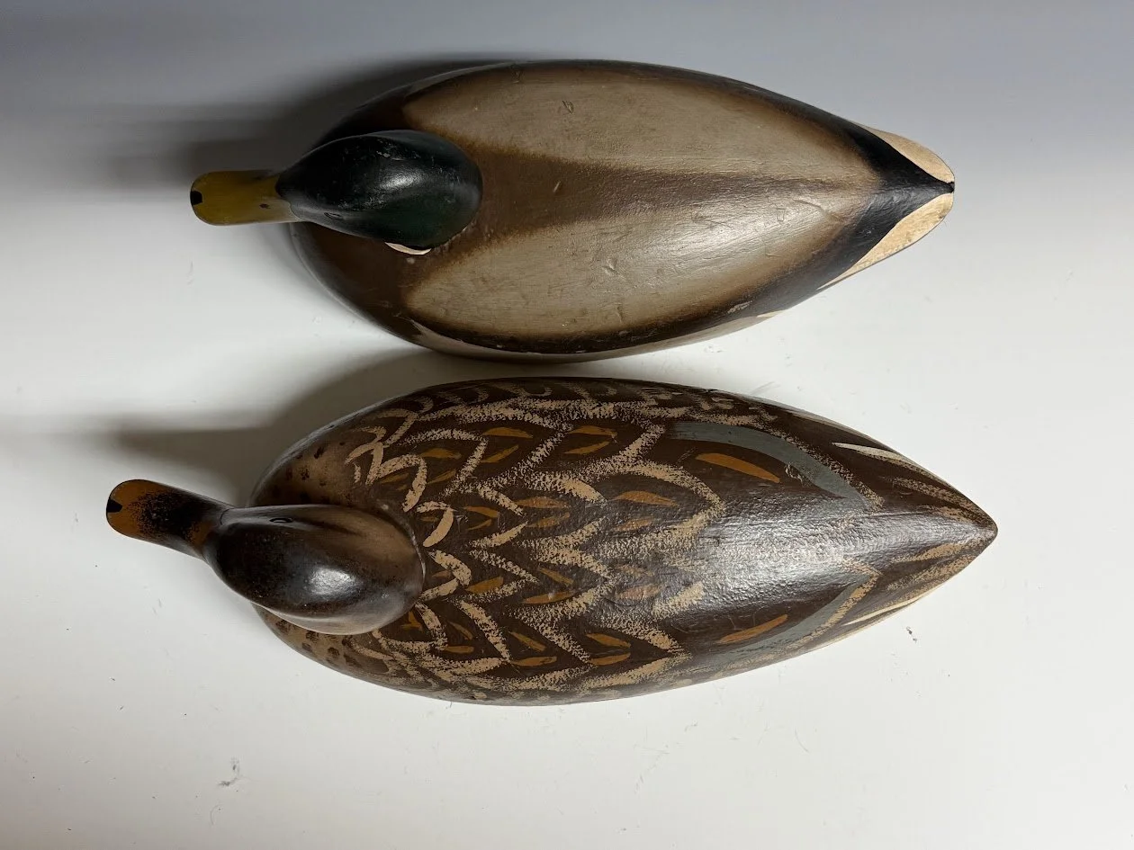 6_9_26_CapriolaMallards3.jpg