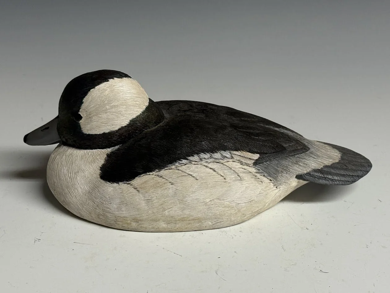 4_21_26_BobPetersenBufflehead2.jpg
