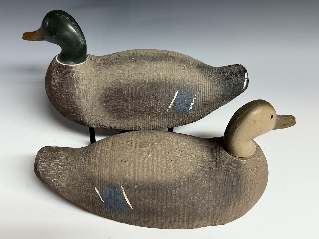 3_28_25_ATCOMallardPair2.jpg