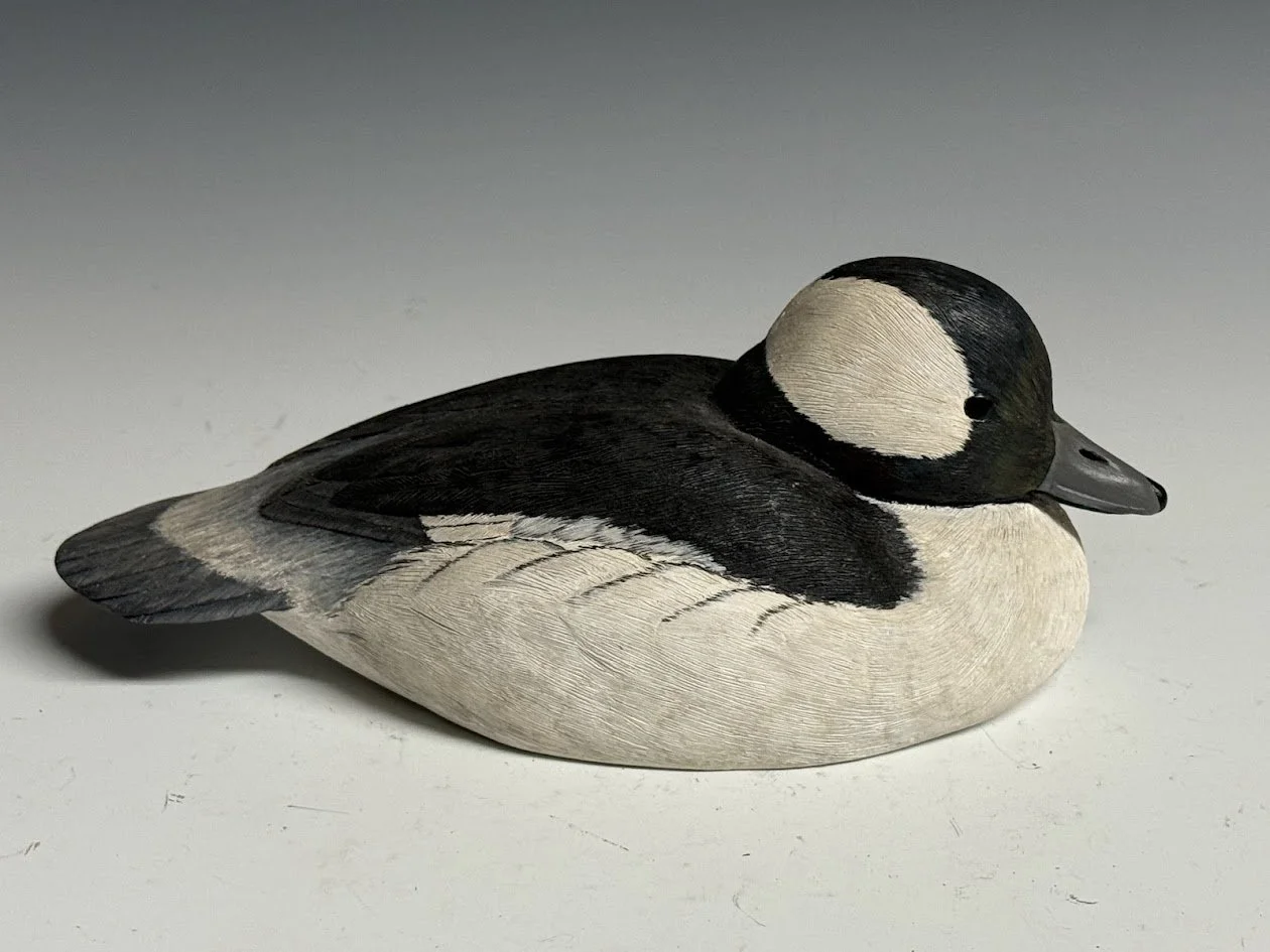 4_21_26_BobPetersenBufflehead1.jpg