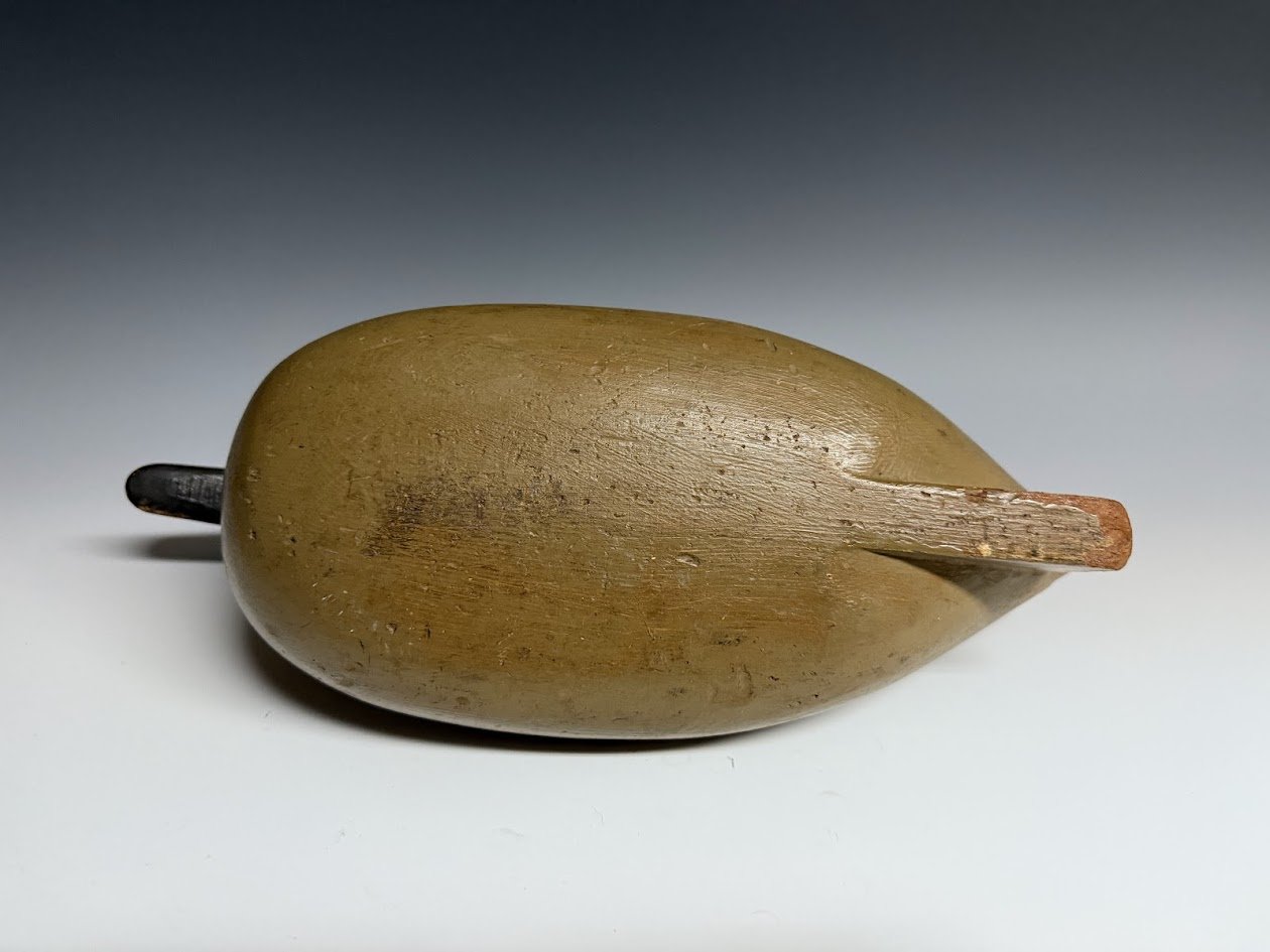 1_10_24_FADPintail4.jpg