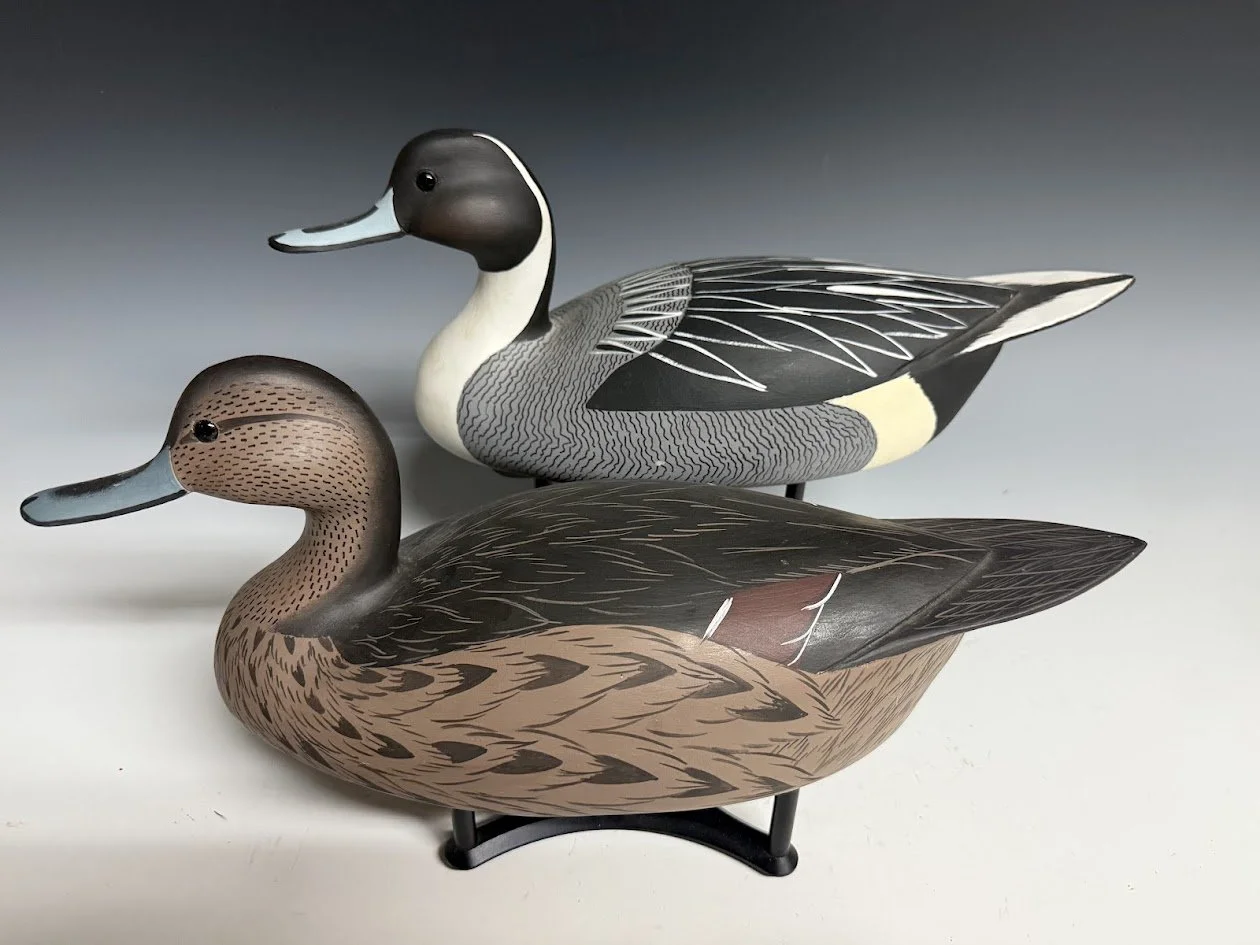 7_18_25_AllsoppPintails1.jpg