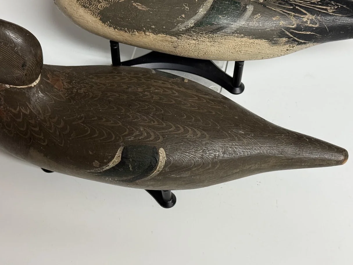 10_10_26_TulePintails9.jpg