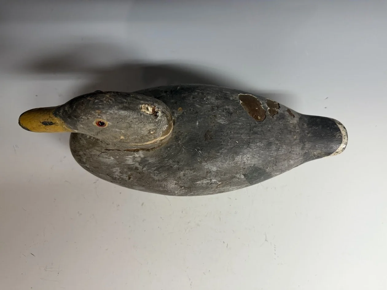 12_3_25_UKNmallard3.jpg