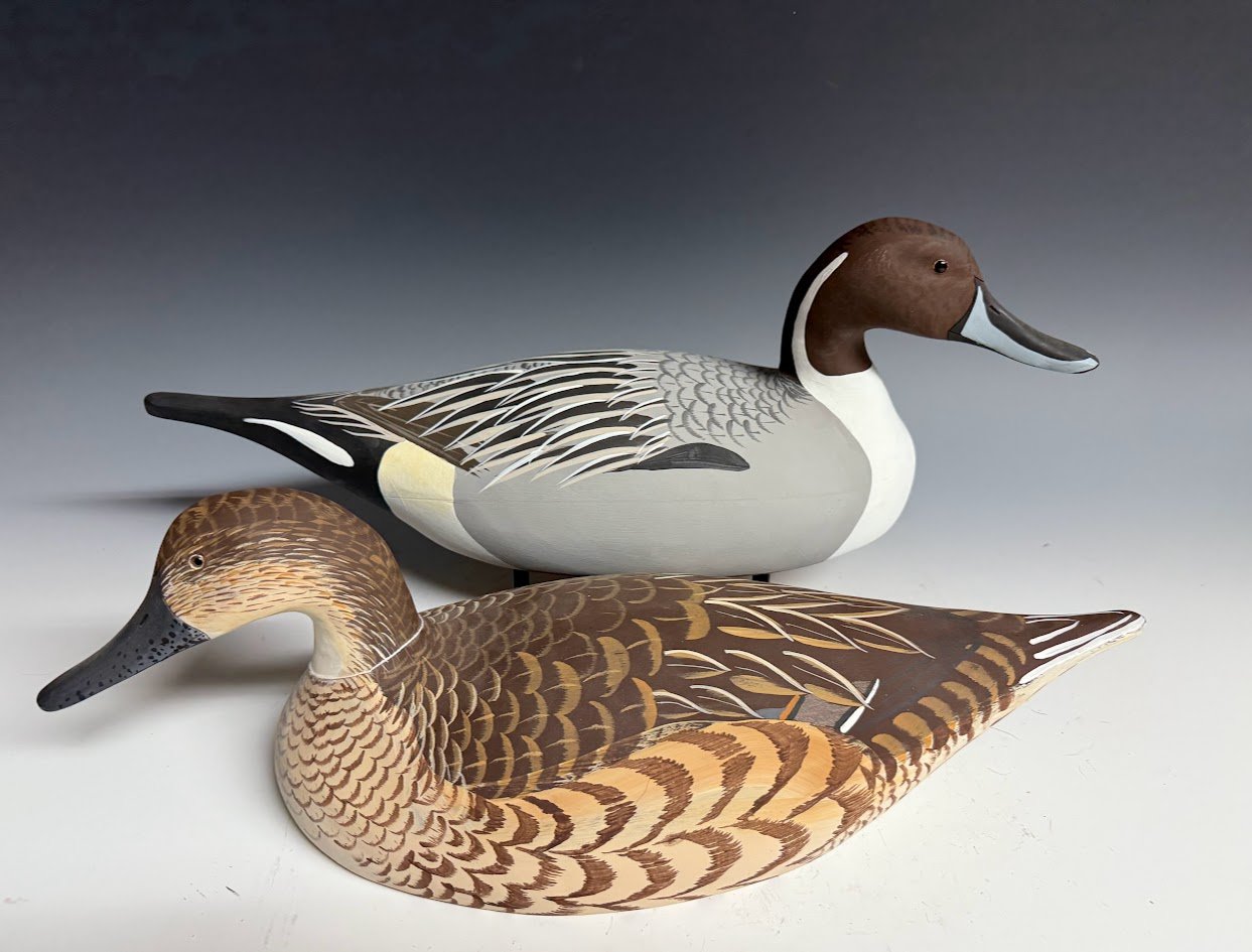 7_8_25_FowlersPointPintailPair1.jpg