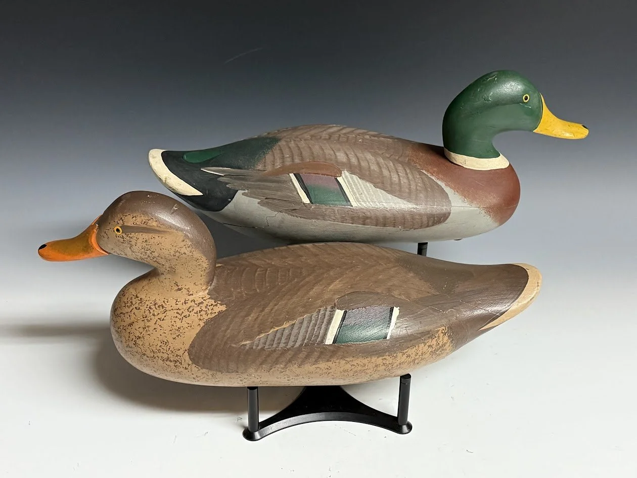 4_11_26_RMM_MallardPair2.jpg