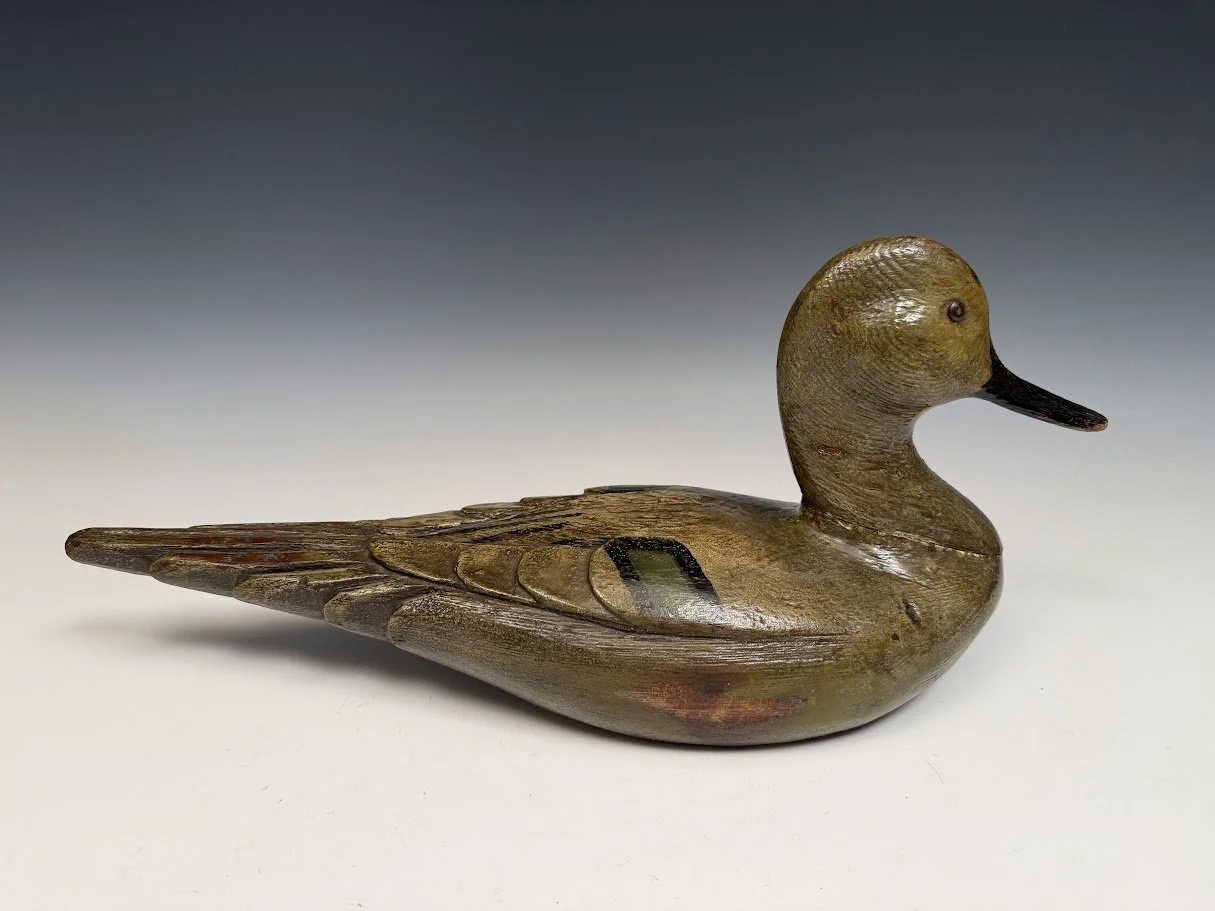 10_8_26_LBUpintail1.jpg