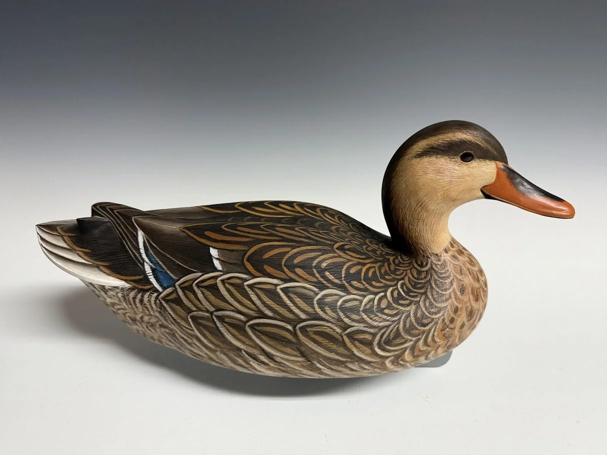 9_2_26_CarsonMallard1.jpg