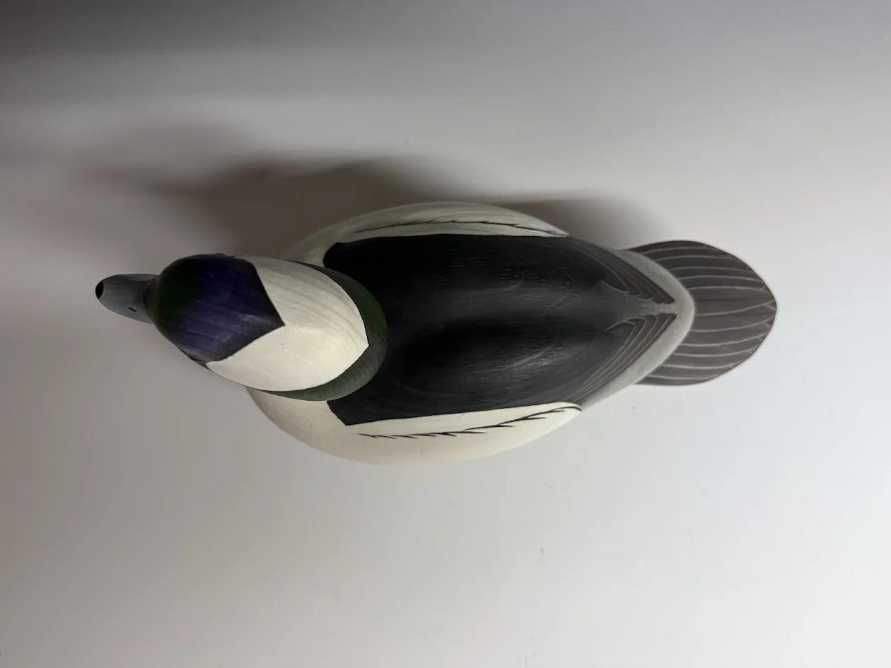 2_10_26_Bufflehead_3.jpg