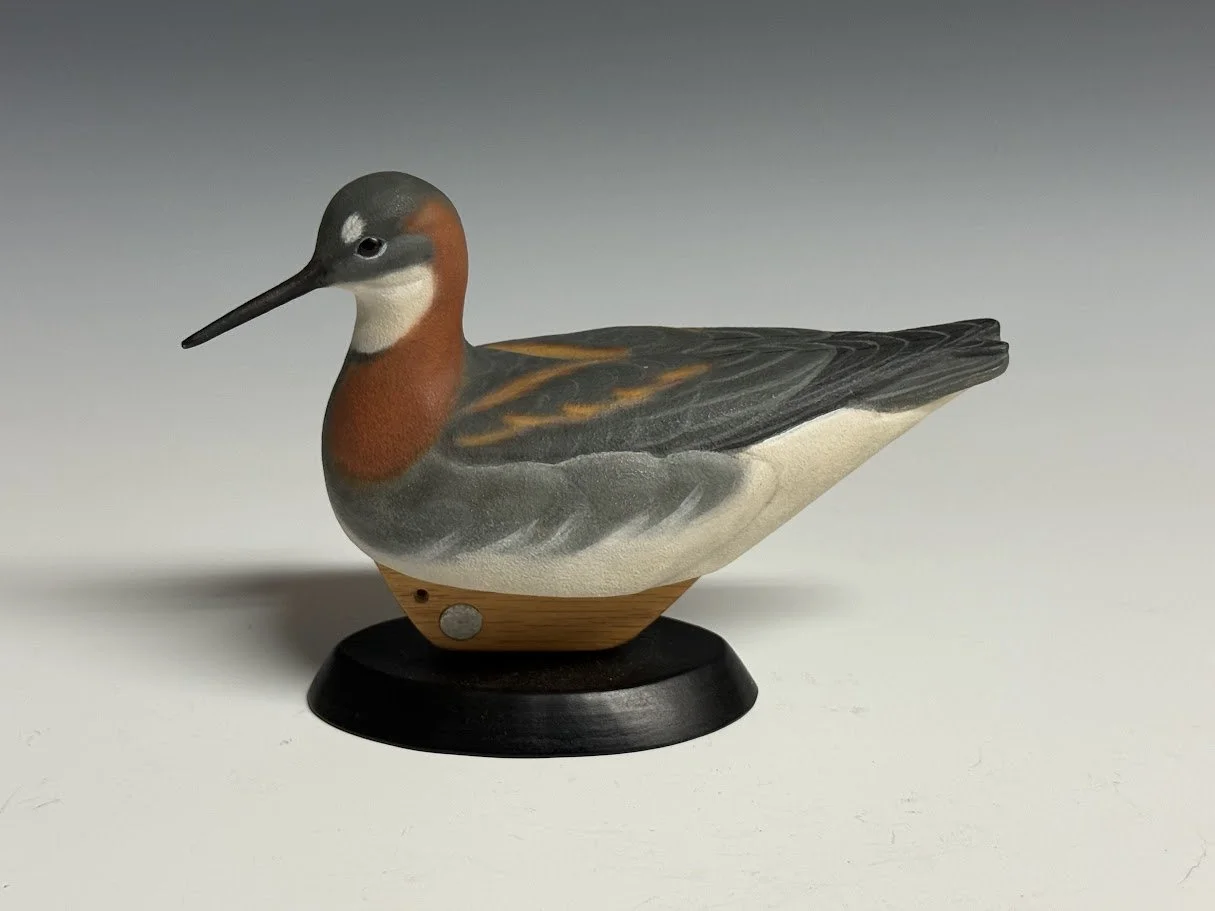 9_10_26_PeterKauneRedNeckedPhalarope_103_1.jpg