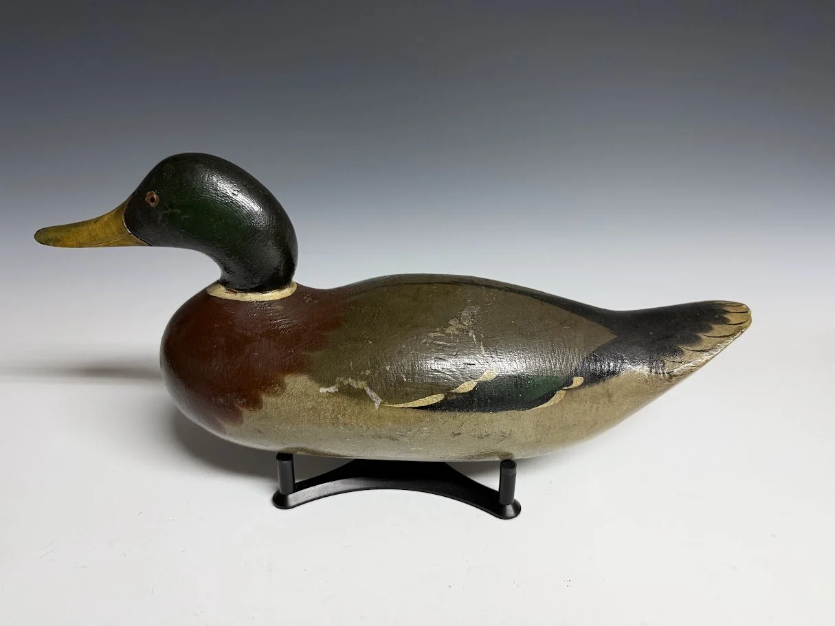 9_6_26_MasonMallard2.jpg