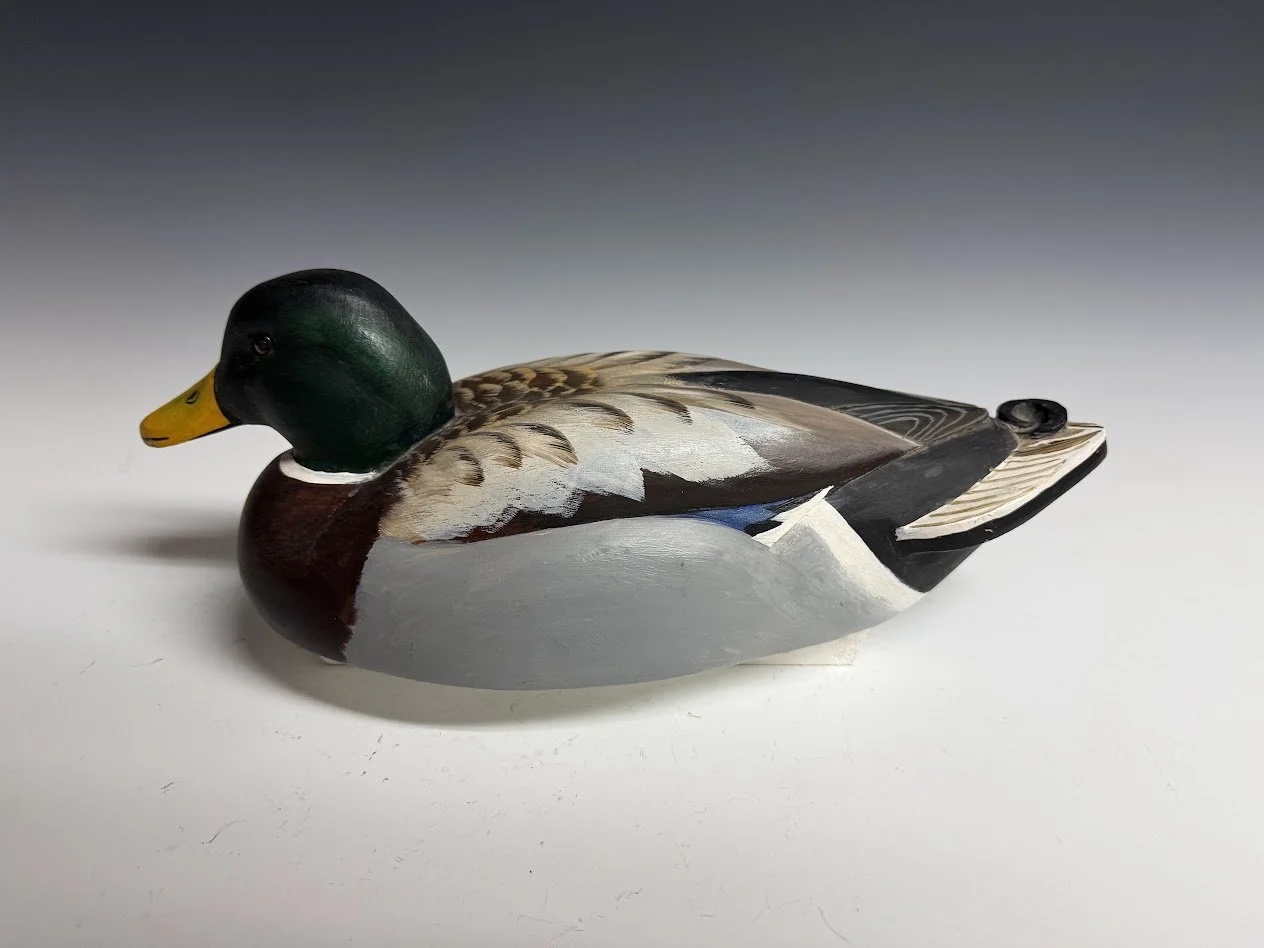 6_8_26_SnyderMallard2.jpg