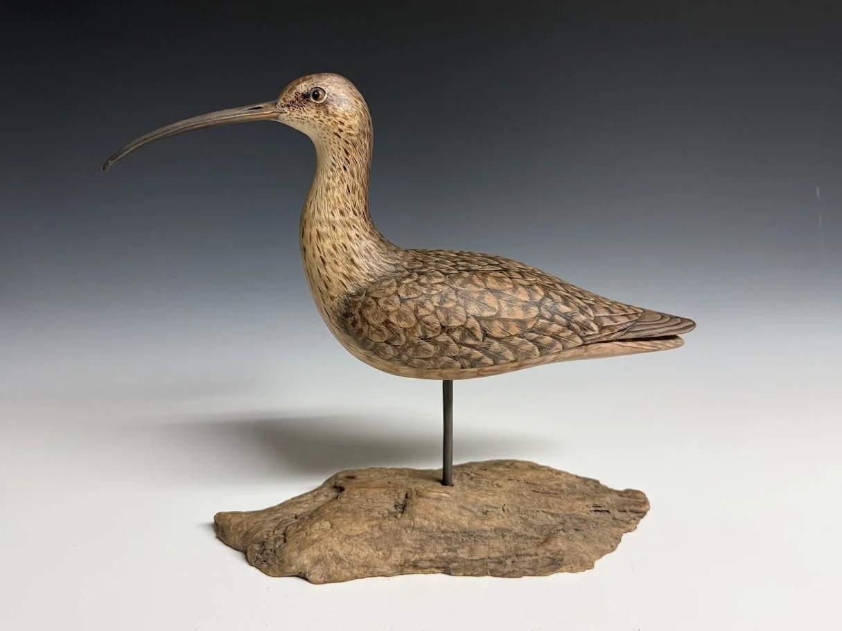 9_10_26_Troon_Curlew_106_1.jpg