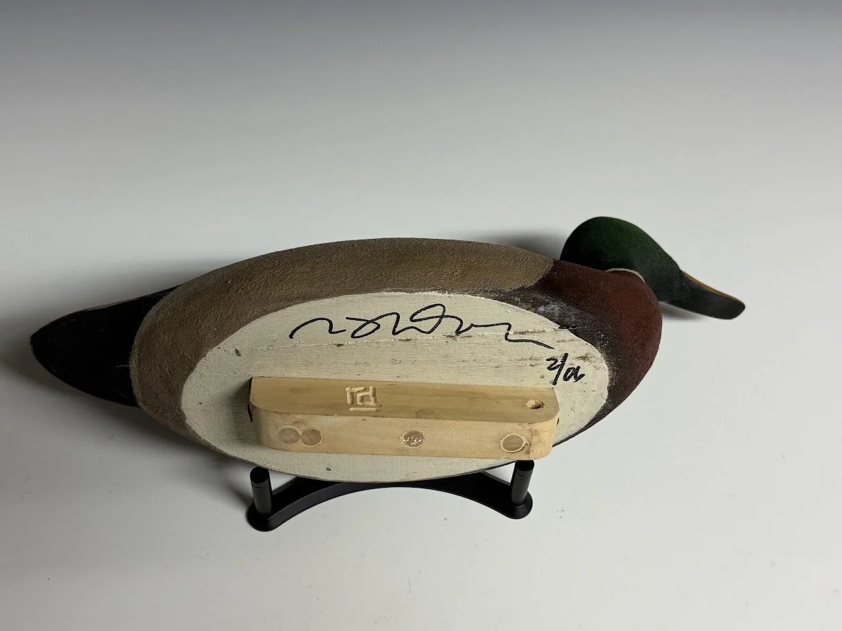 8_28_26_RDMallard4.jpg