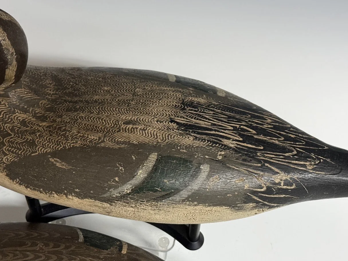 10_10_26_TulePintails10.jpg