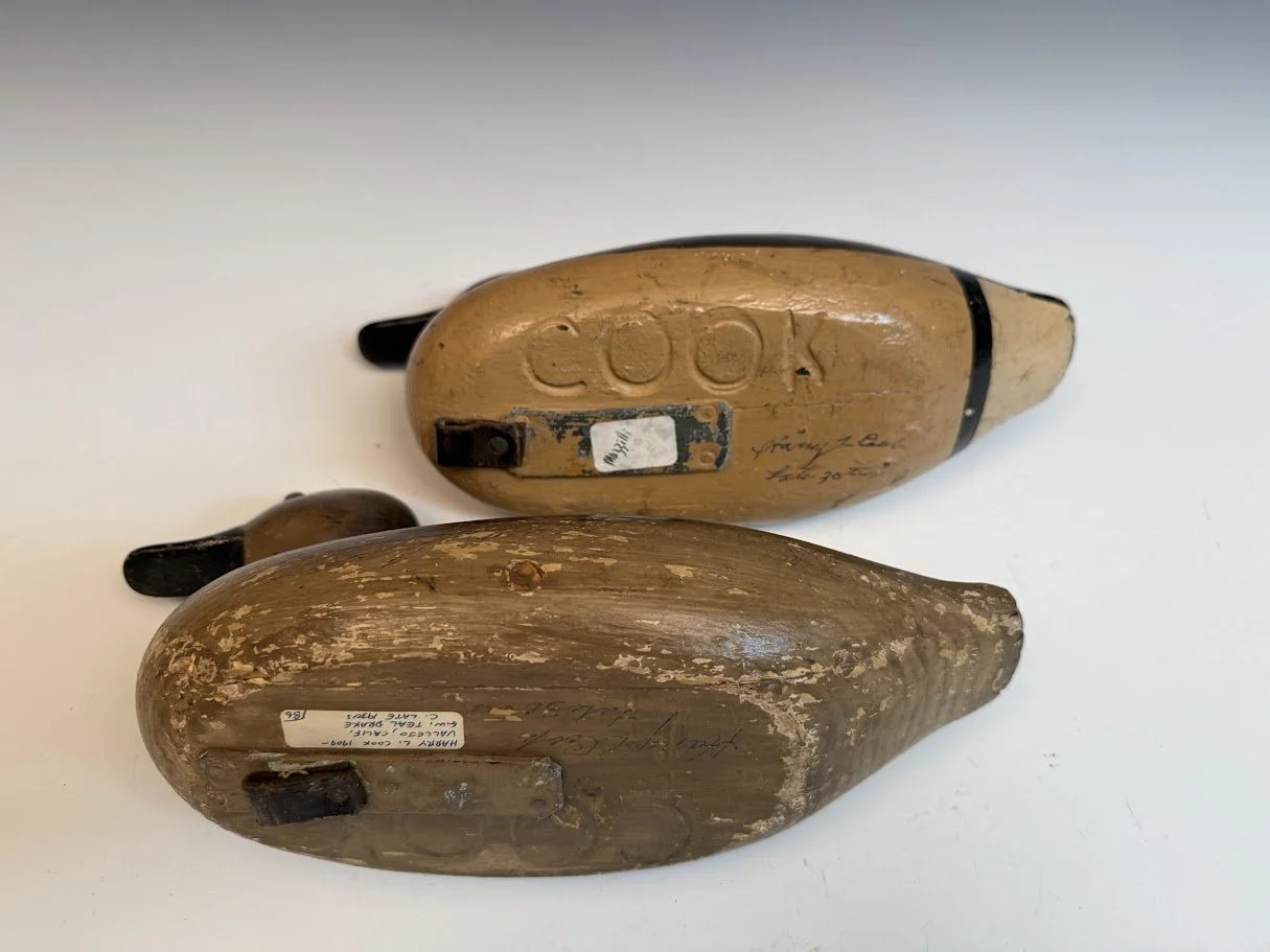 10_17_26_CookTeal4.jpg