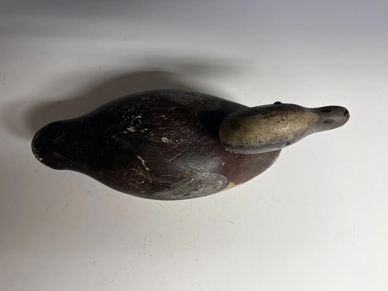 6_8_26_MasonWigeon3.jpg