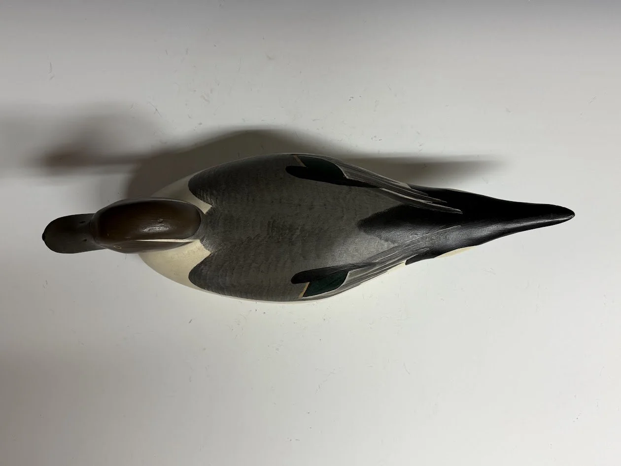 5_12_26_MMPintail3.jpg