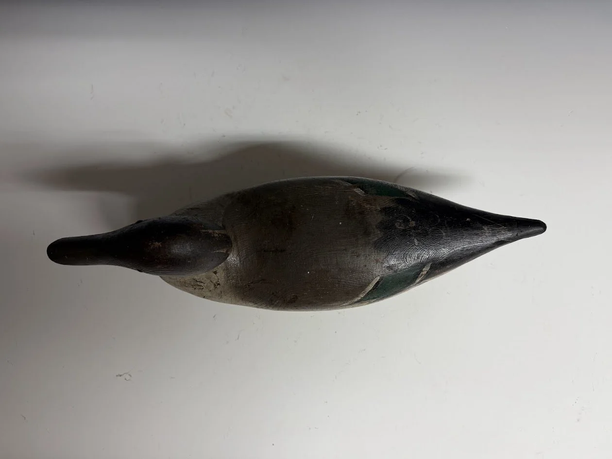 6_11_26_MasonSprig3.jpg