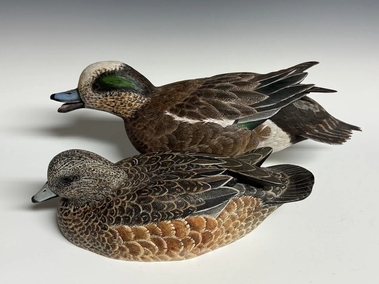 9_19_26_GreshamWigeonPair2.jpg