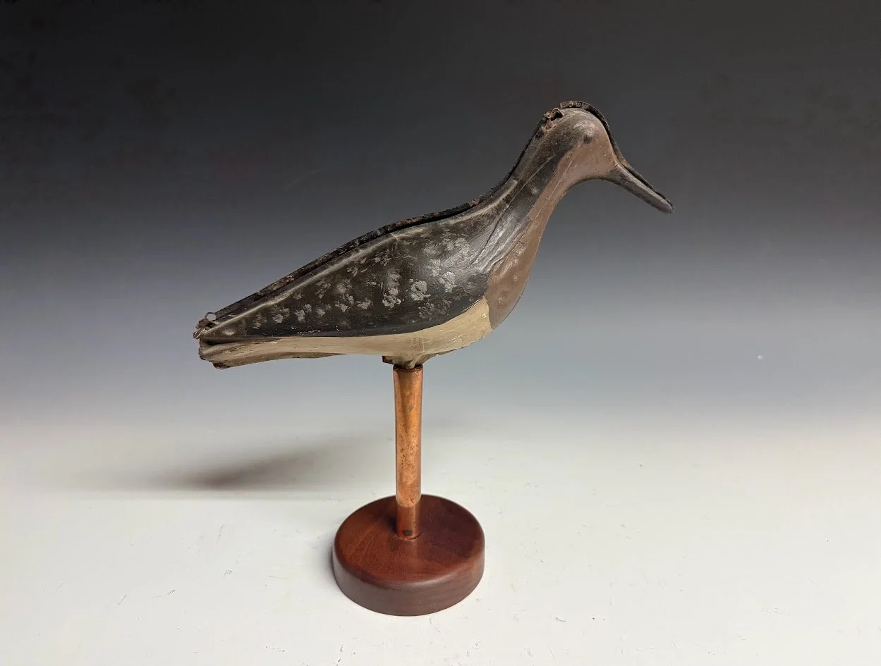 5_21_26_tinshorebirdYL1.jpg