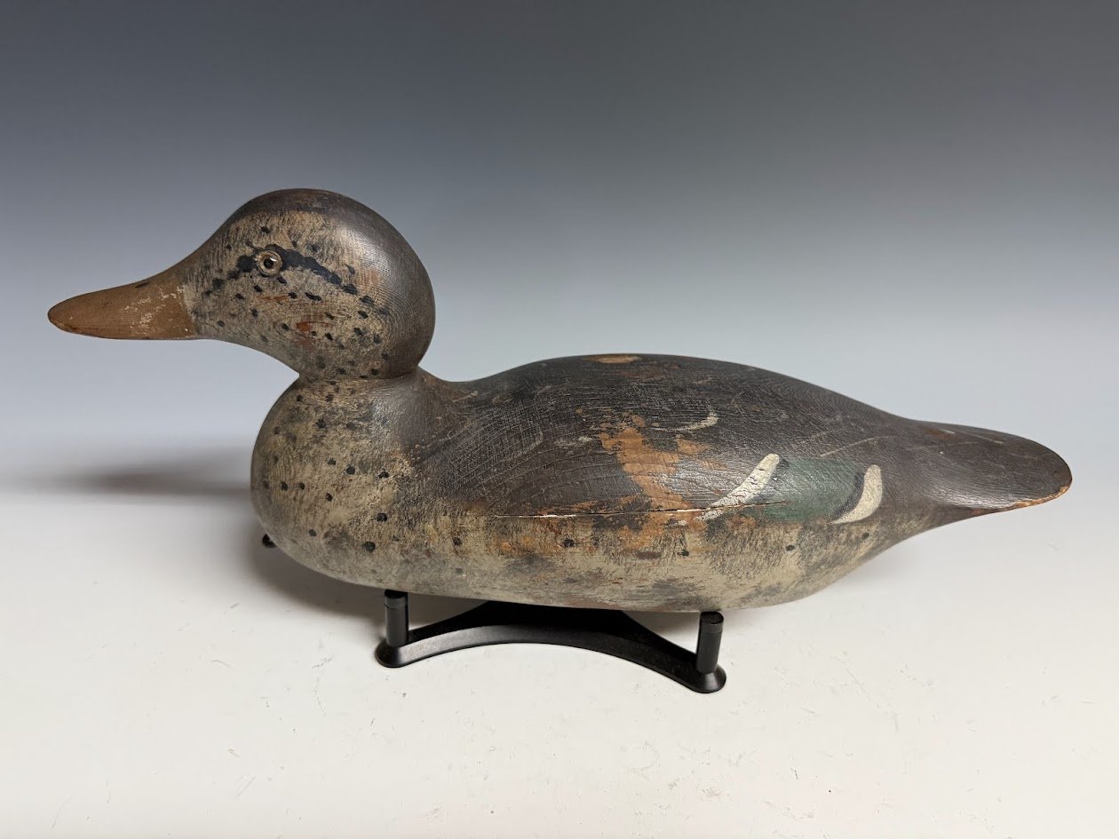 4_20_25_MasonMallard2.jpg