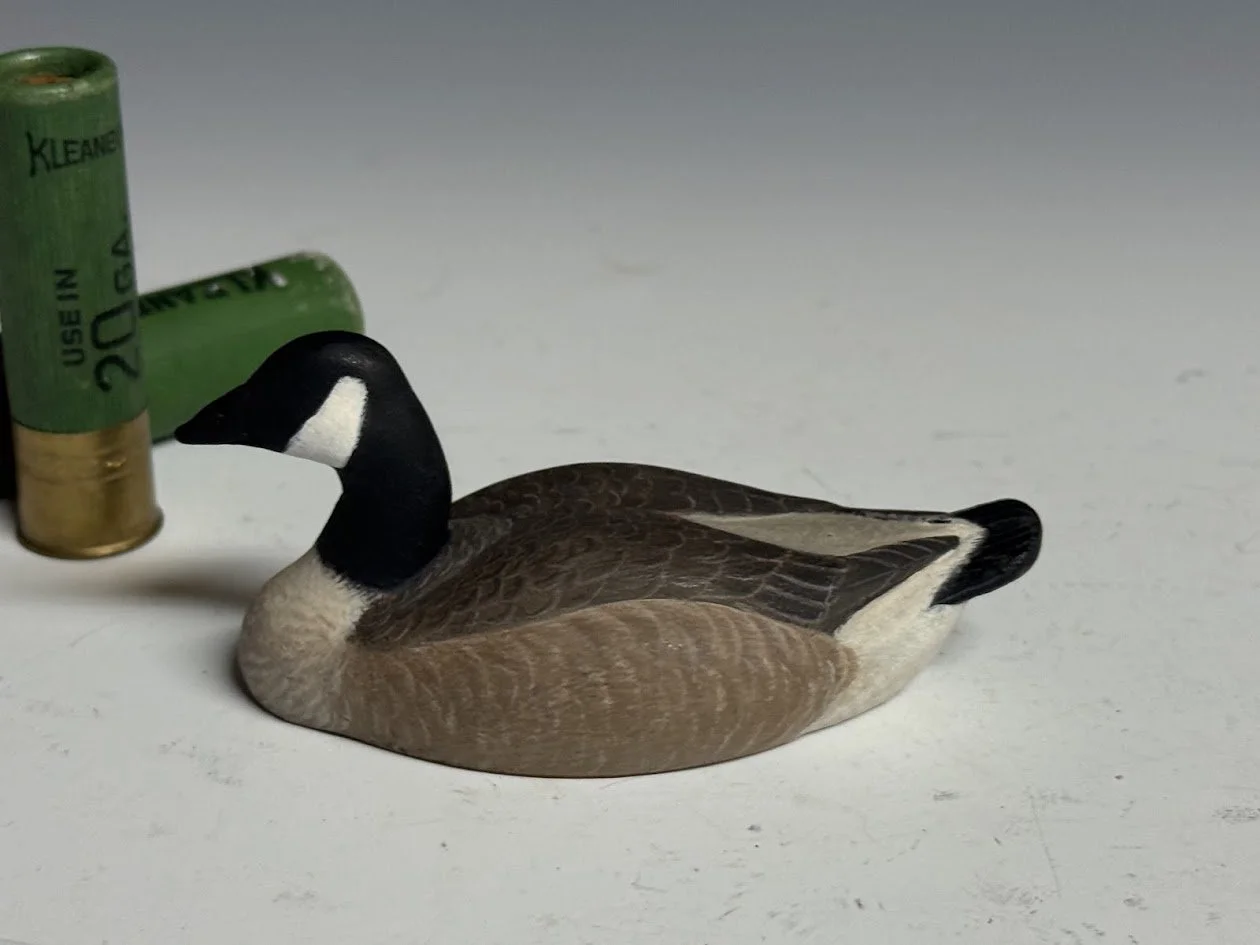 5_13_26_AndersonMiniGoose2.jpg