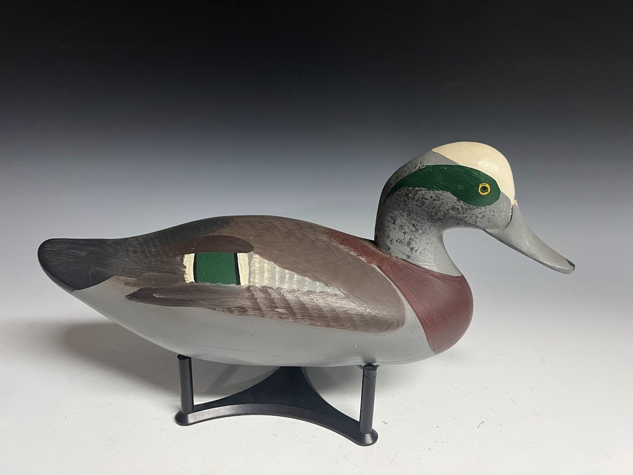 10_4_24_RMMwigeon1.jpg