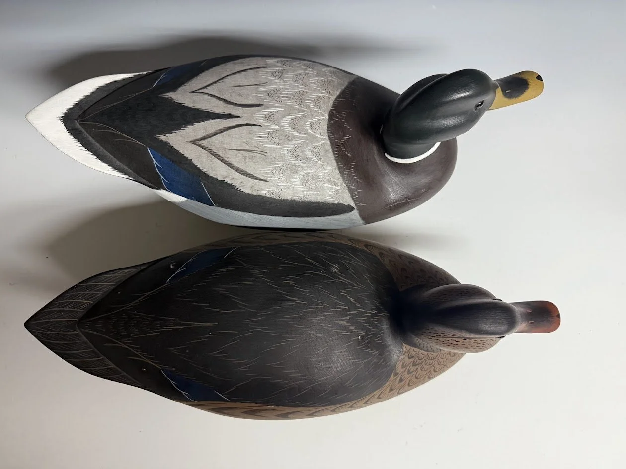 7_18_25_AllsoppMallards3.jpg