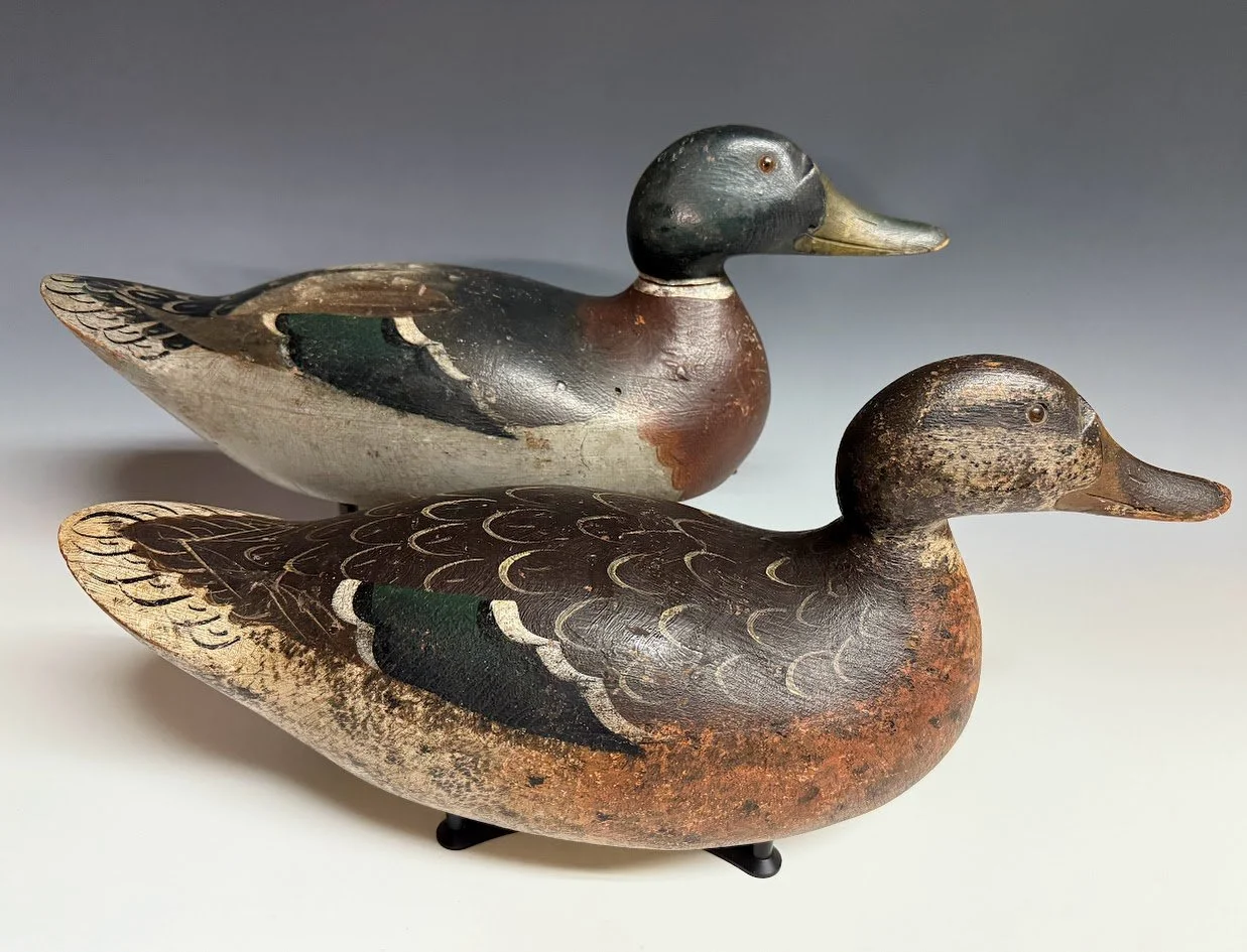 1_21_26_MasonPremierMallardPair1.jpg