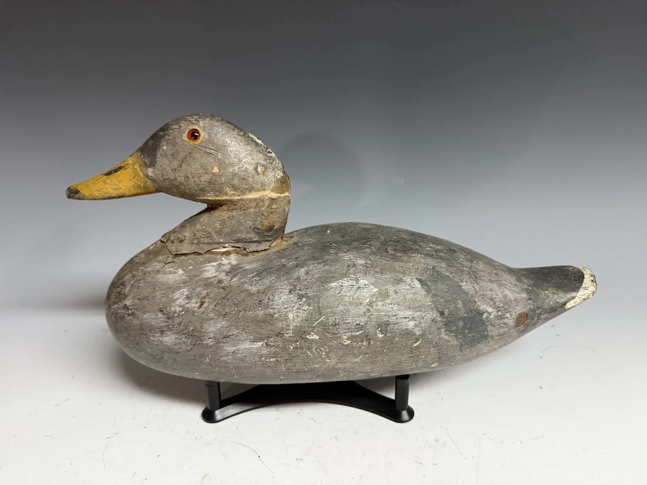 12_3_25_UKNmallard2.jpg