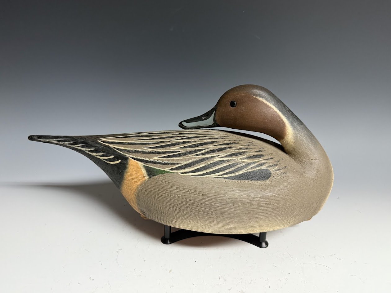 7_7_25_CapriolaPintailDrake2.jpg