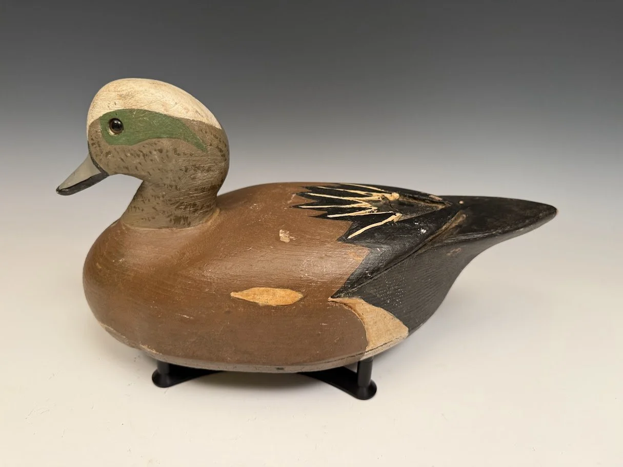 10_9_26_CrowellWigeon2.jpg