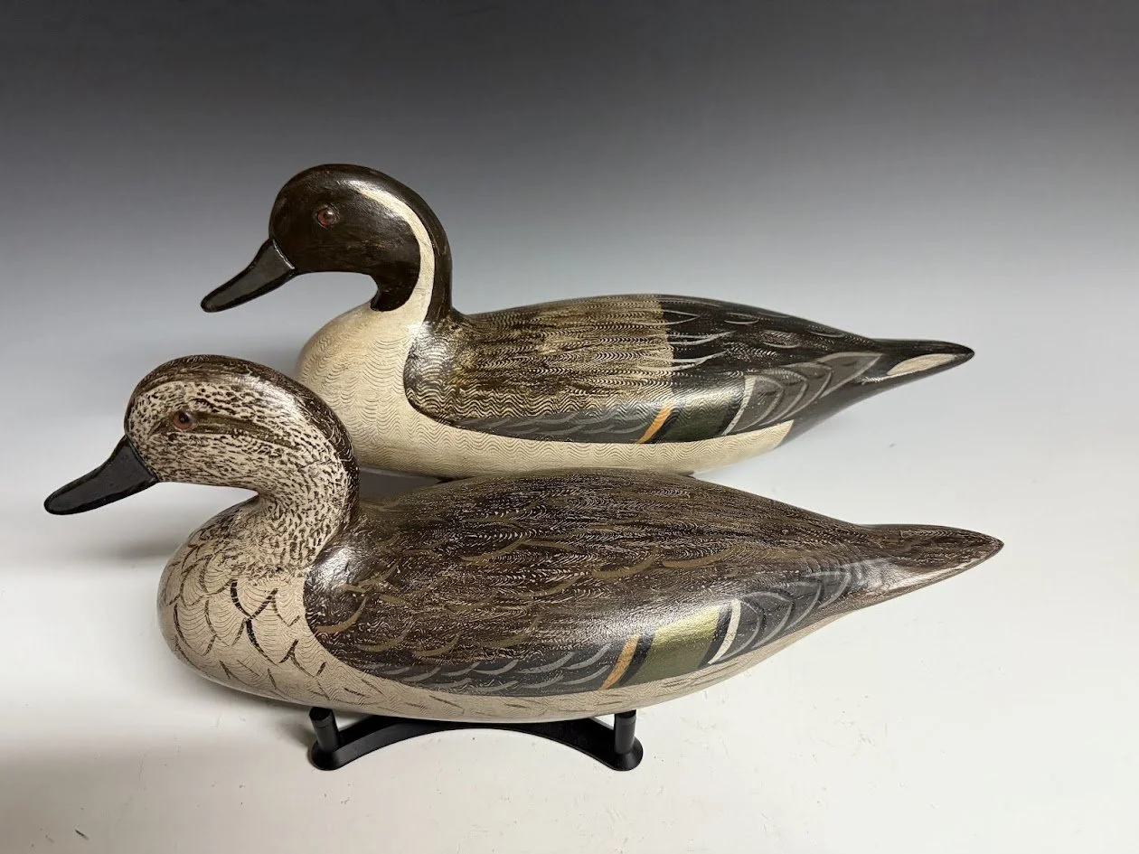 7_18_25_MoorePintails2.jpg