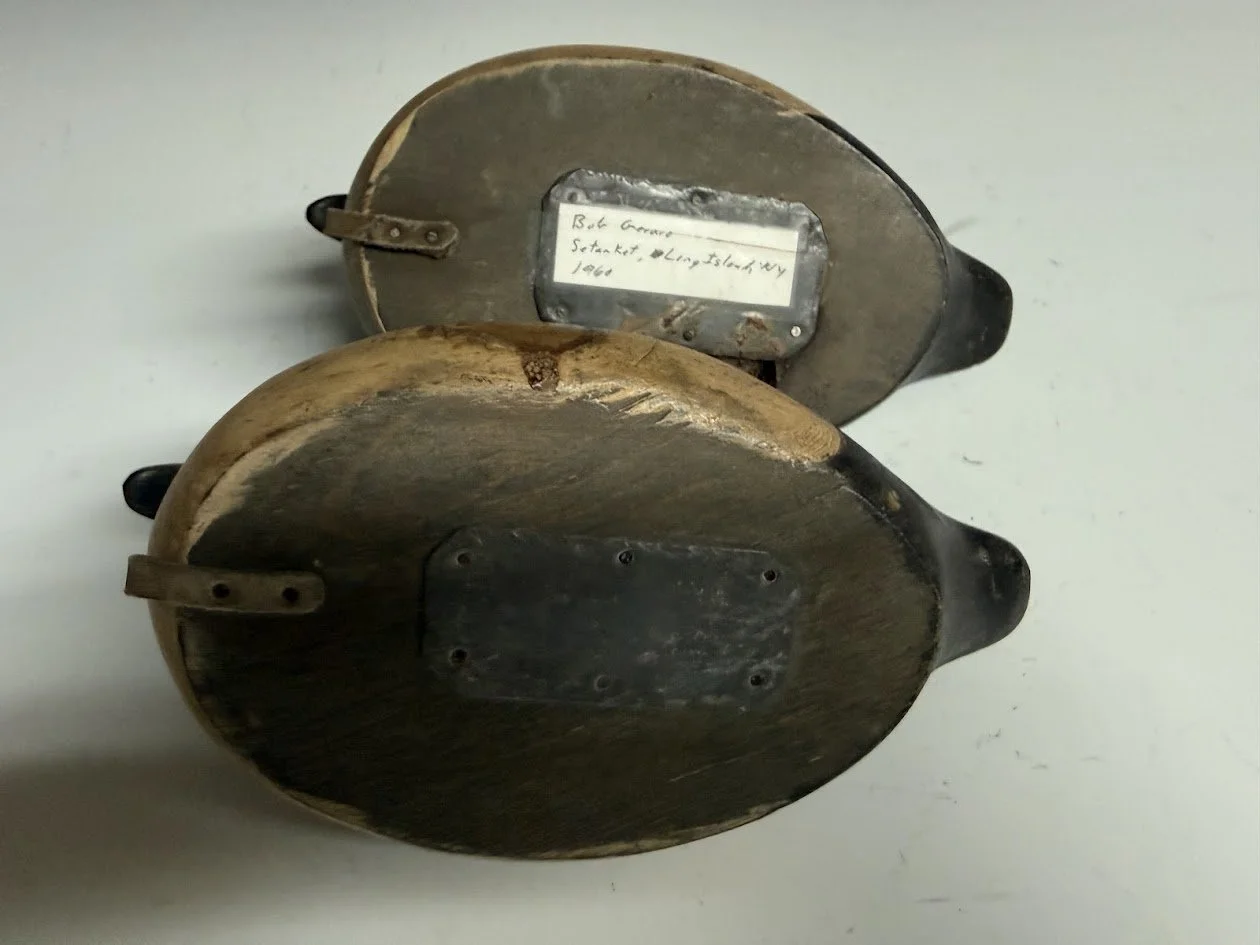 6_29_26_GerraroBuffleheadPair4.jpg