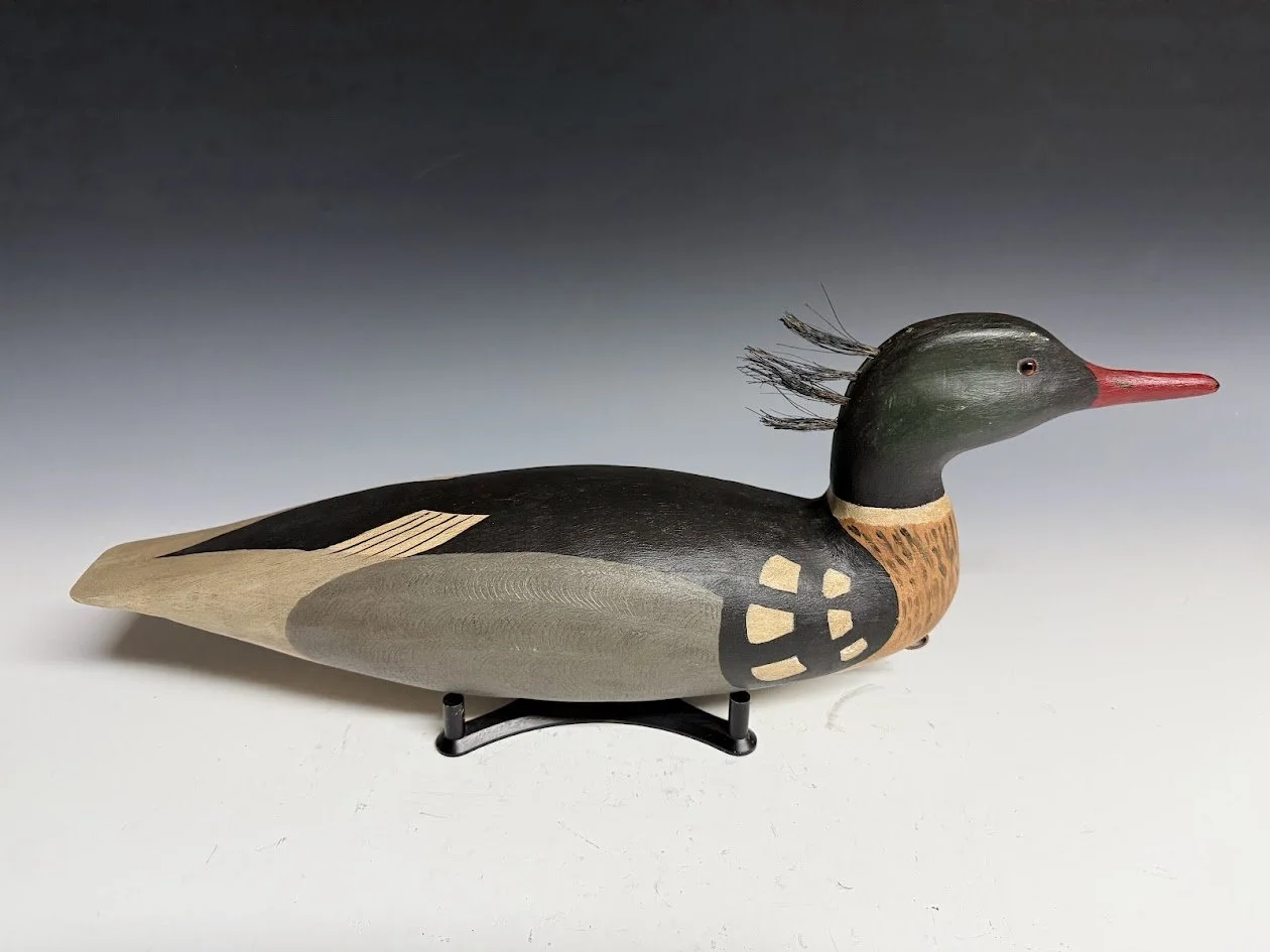6_9_26_BuckleyMerganser1.jpg