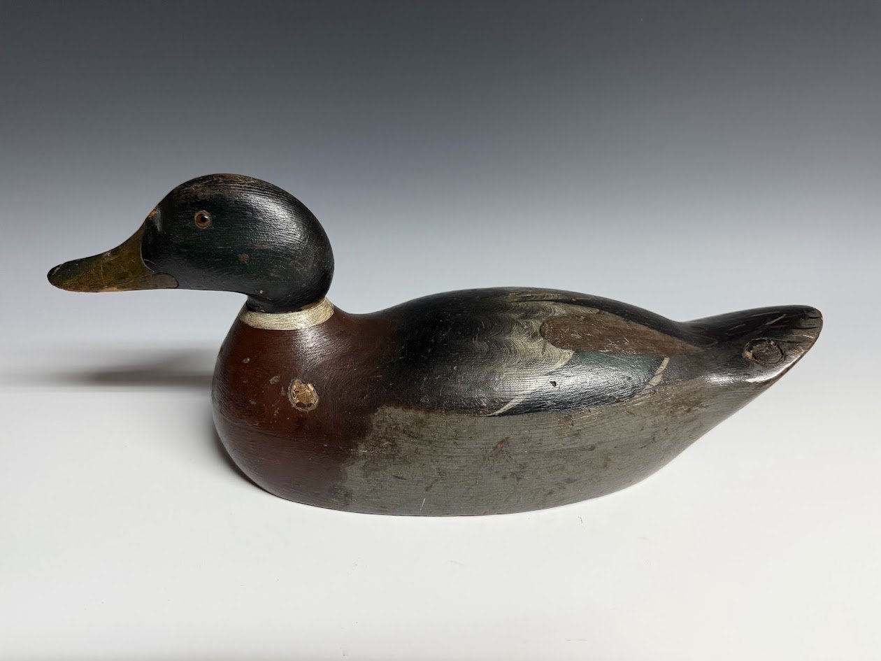 12_28_24_premallard2.jpg