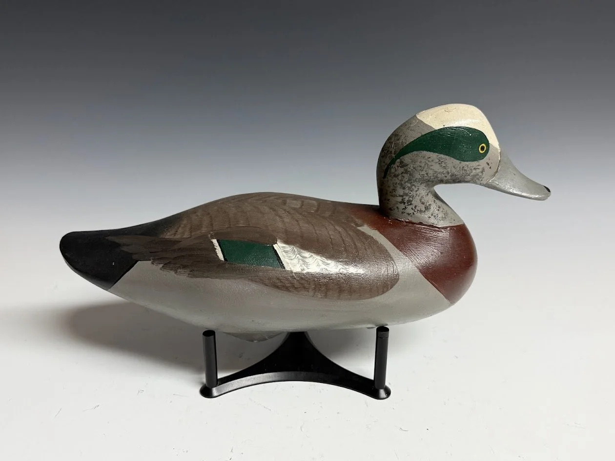 5_12_26_MMwigeon1.jpg