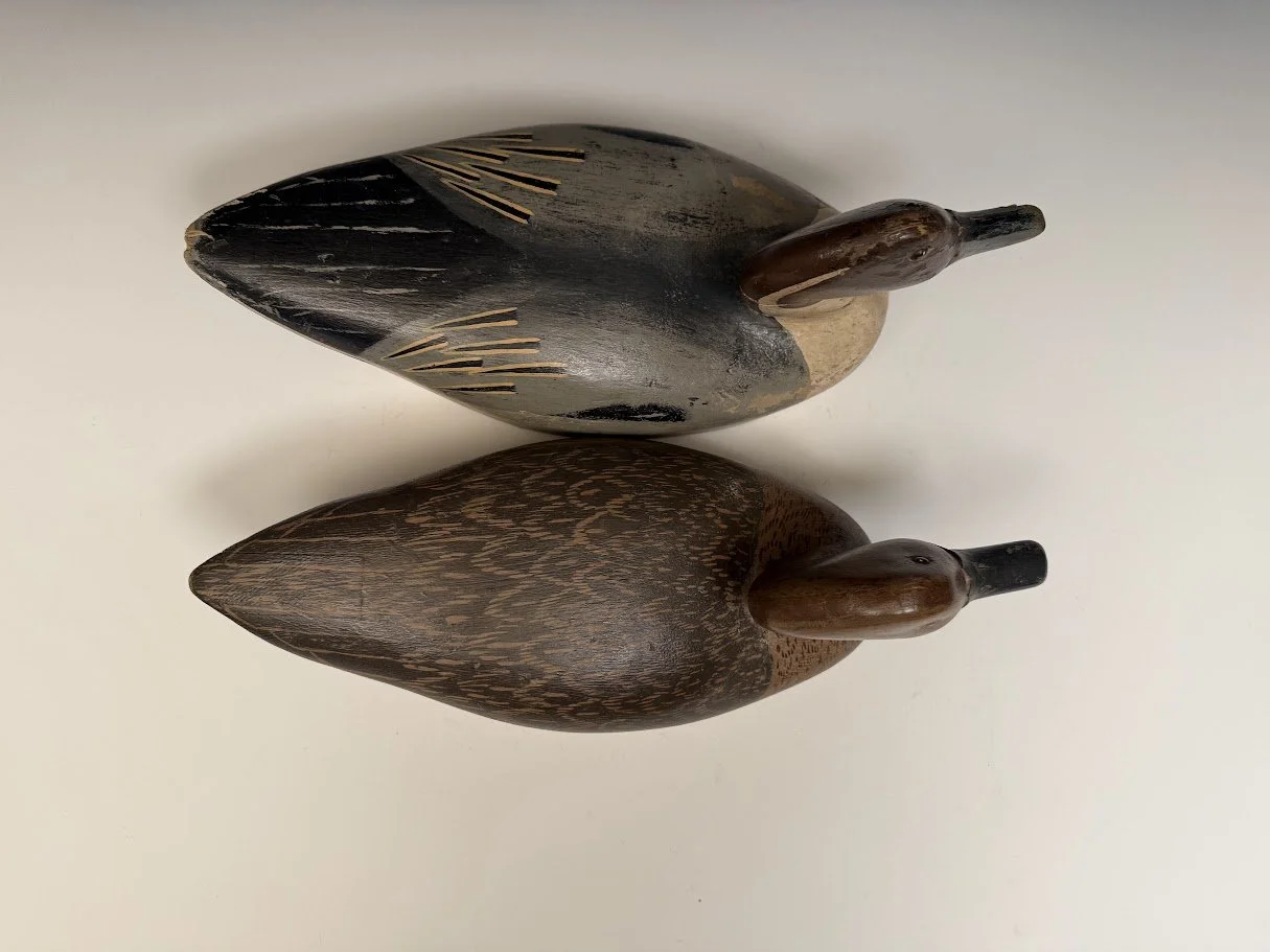 10_12_26_GoudswardPintails3.jpg