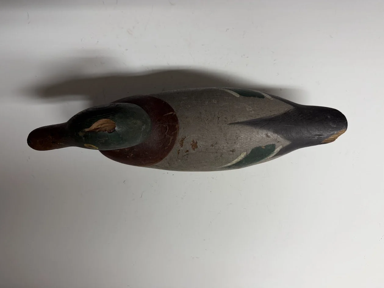 5_19_26_MasonMallardThree_3.jpg