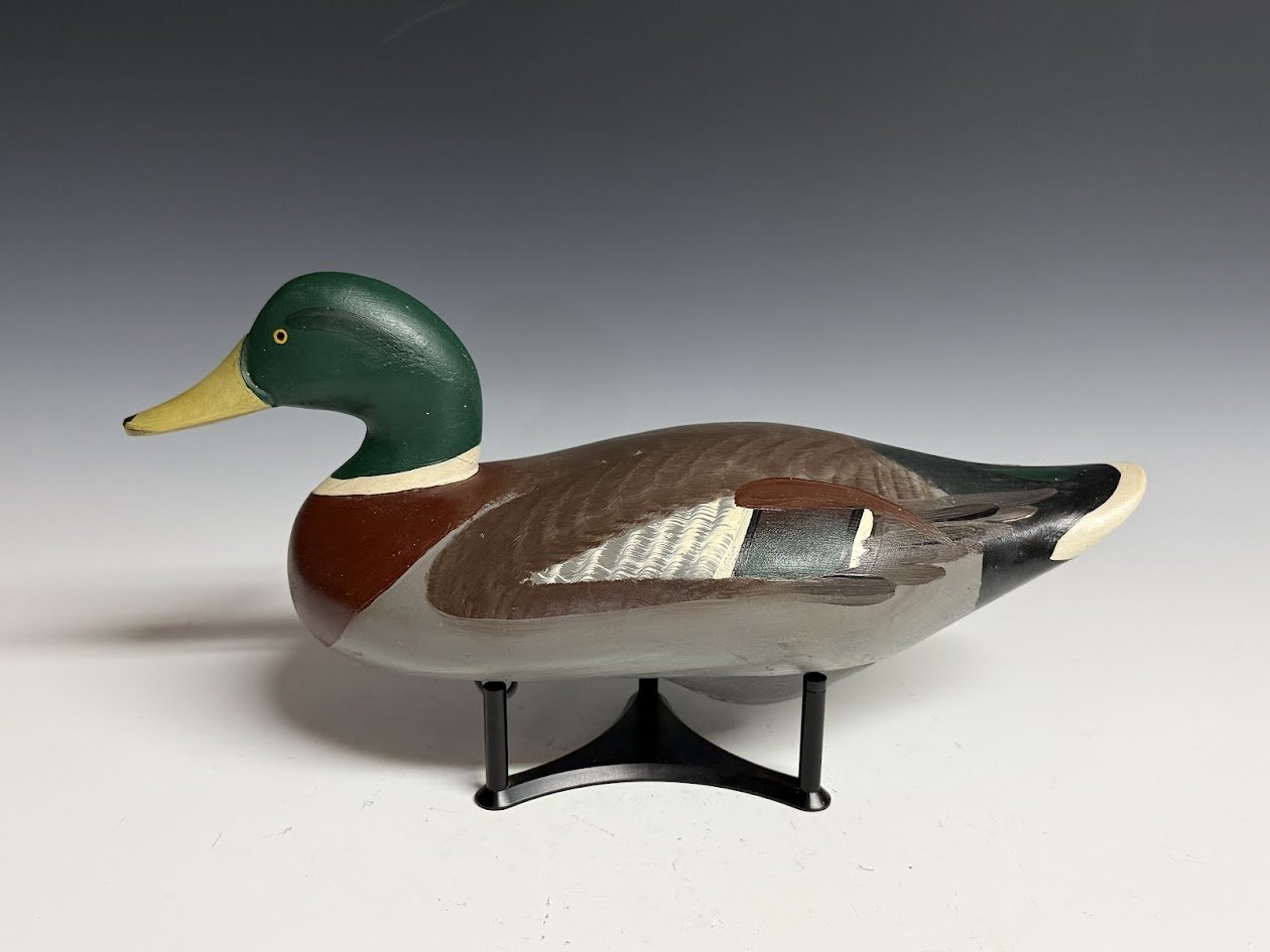 5_12_26_MMmallard2.jpg