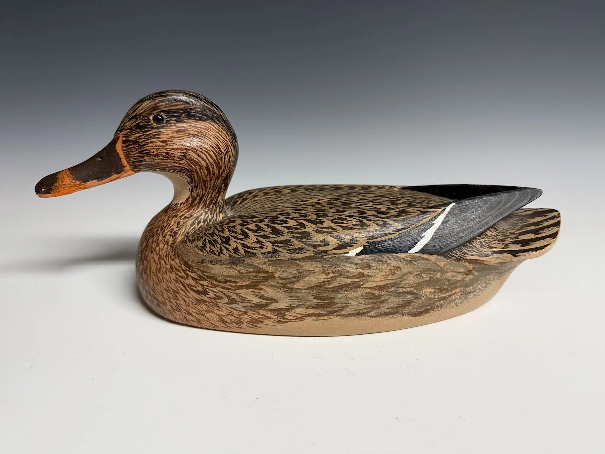 SnyderMallard1.jpg