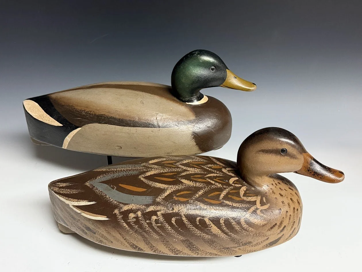 6_9_26_CapriolaMallards1.jpg