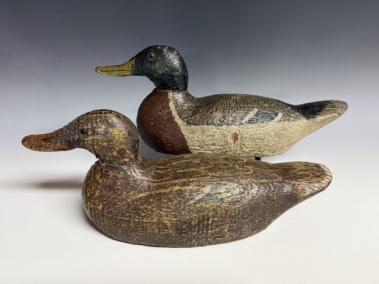 3_21_25_GundelfingerMallardPair2.jpg