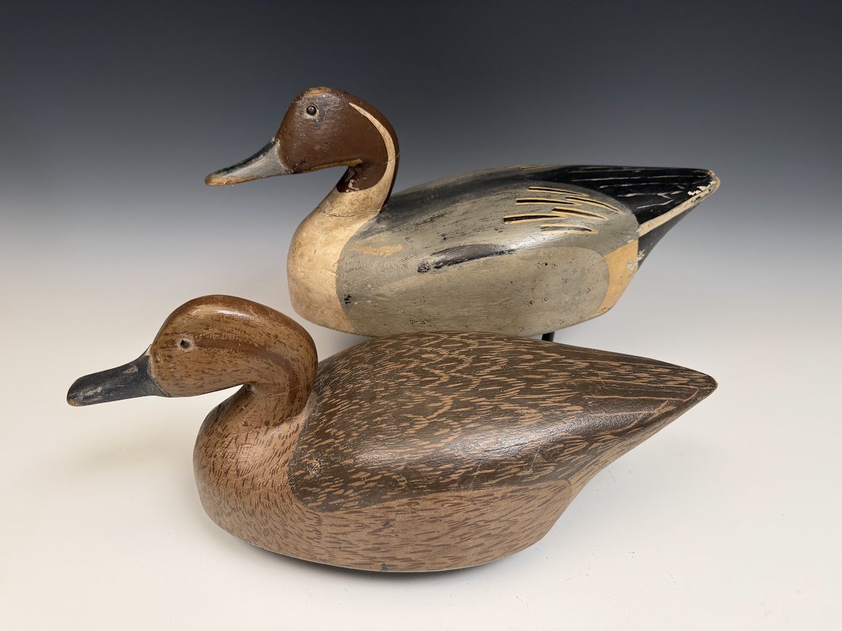 10_12_26_GoudswardPintails1.jpg