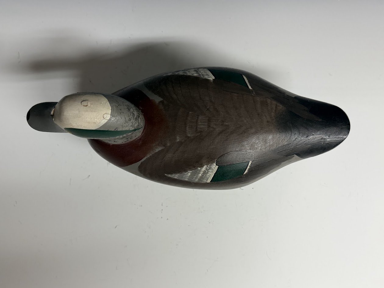 5_12_26_MMwigeon3.jpg