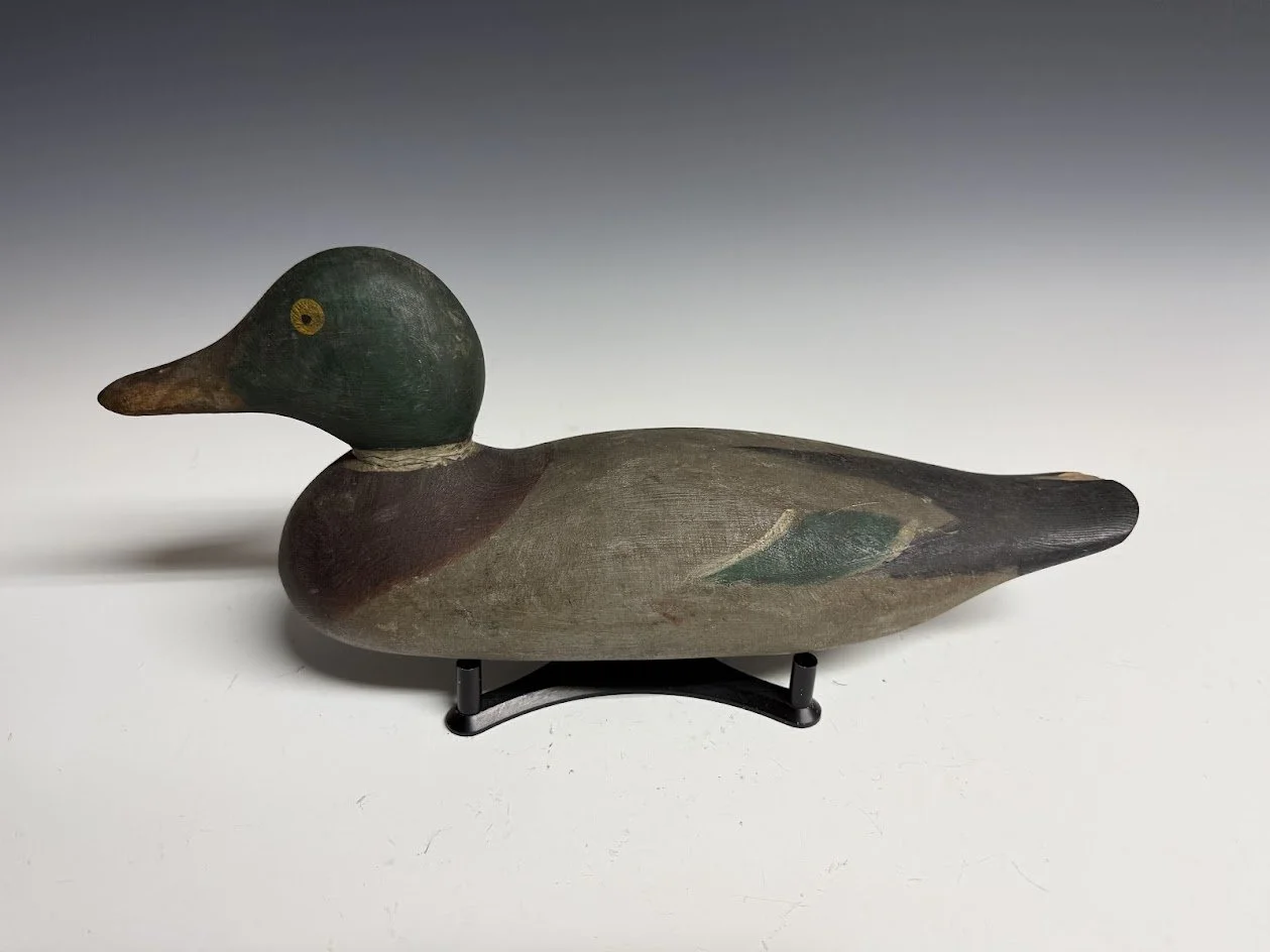 5_19_26_MasonMallardTwo_2.jpg