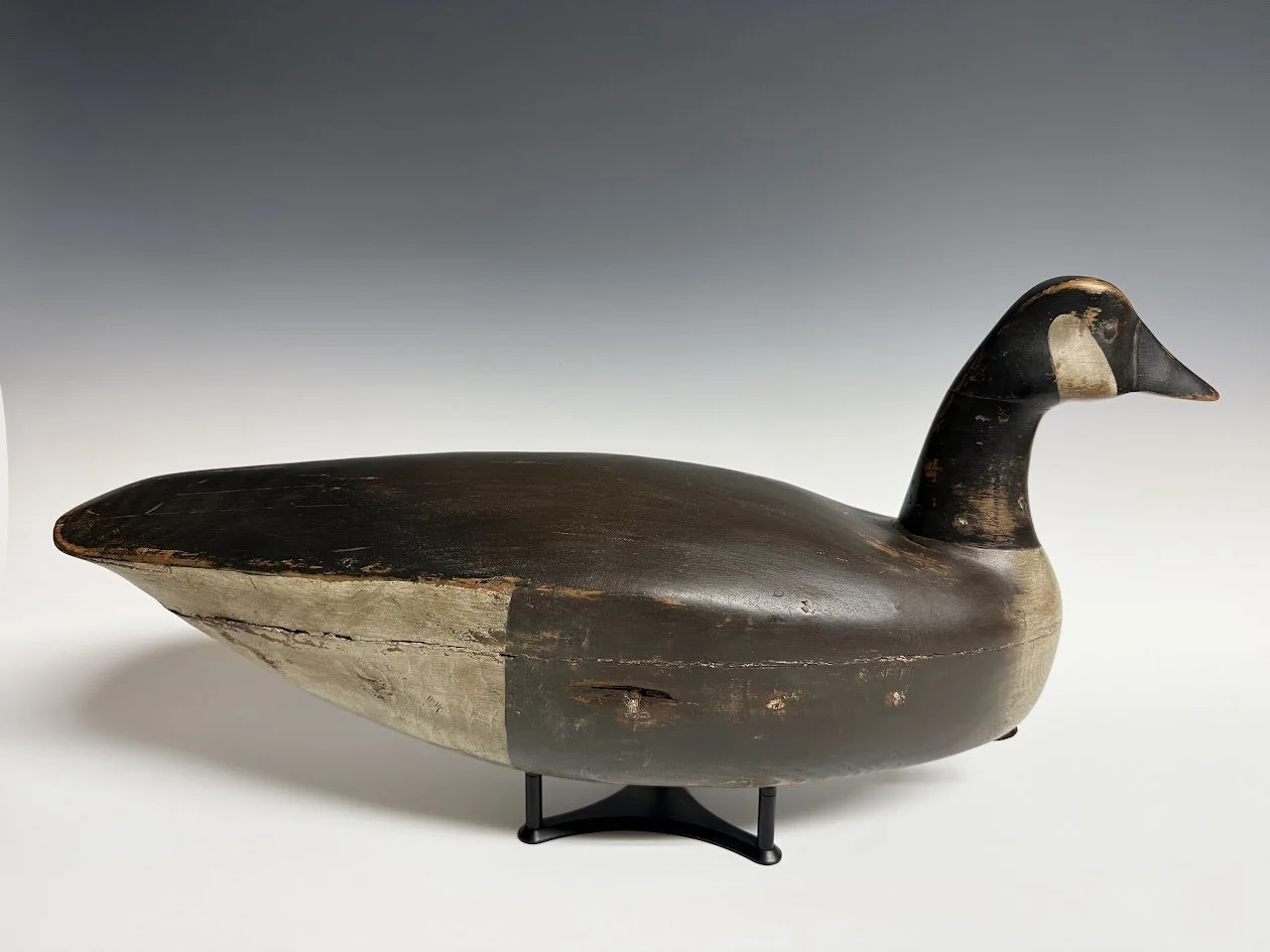 7_2_26_NJgoose1.jpg