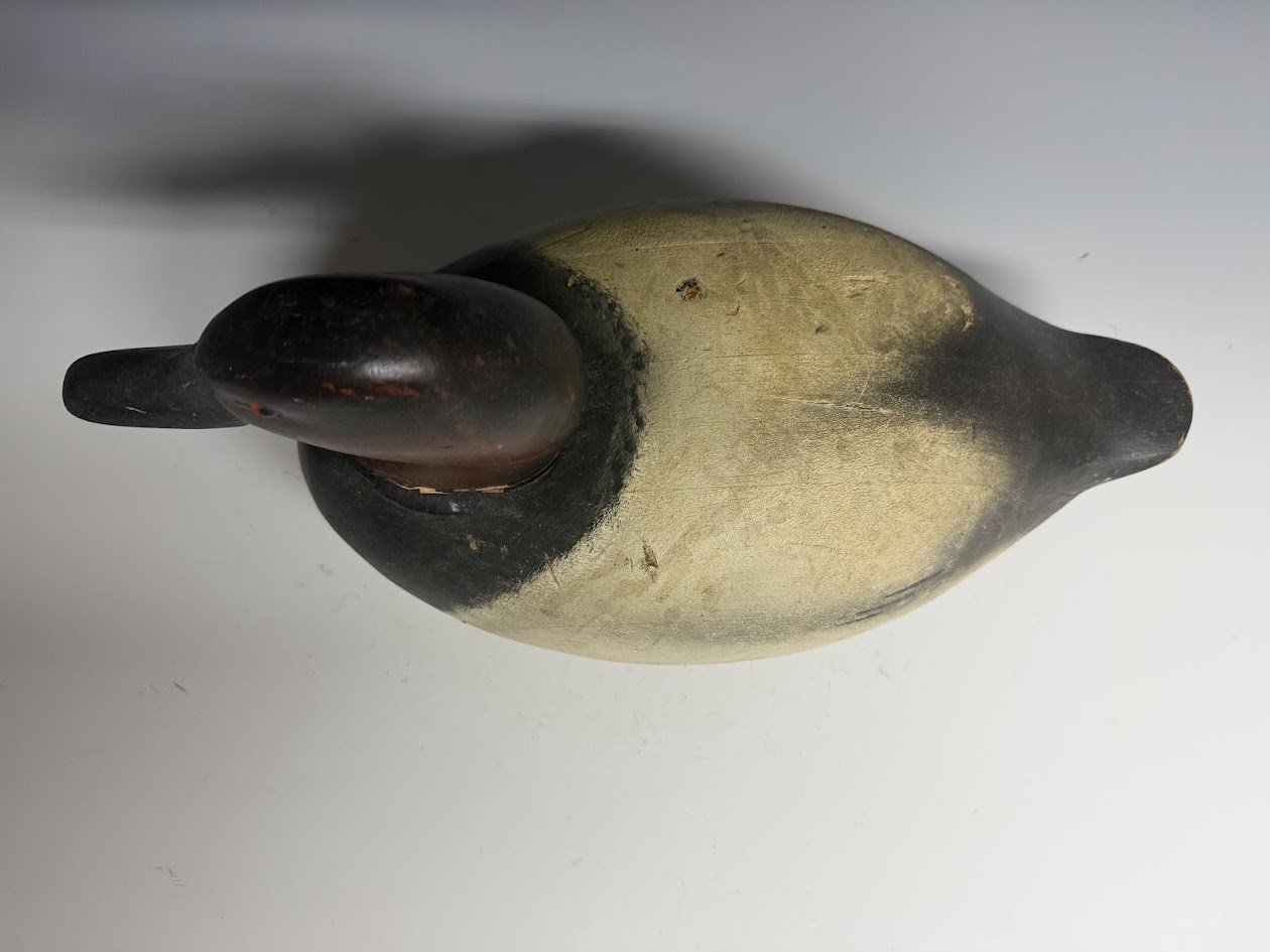 7_2_25_wildfowlerCan3.jpg